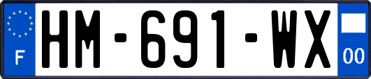 HM-691-WX