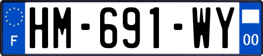 HM-691-WY