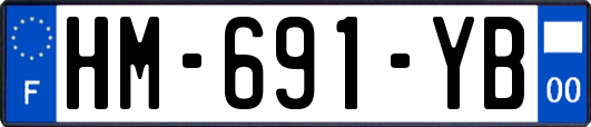 HM-691-YB