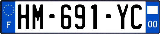 HM-691-YC