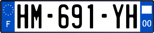 HM-691-YH