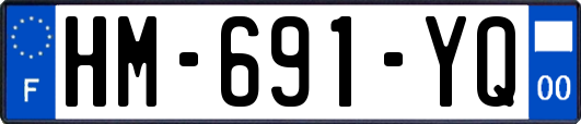 HM-691-YQ