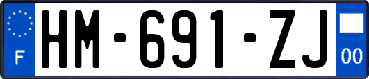 HM-691-ZJ