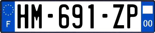 HM-691-ZP