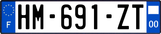 HM-691-ZT