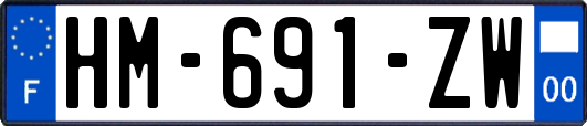 HM-691-ZW
