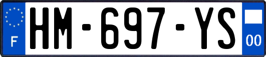 HM-697-YS