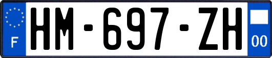 HM-697-ZH