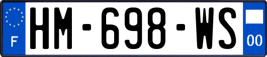 HM-698-WS