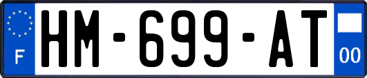 HM-699-AT