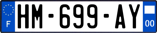 HM-699-AY