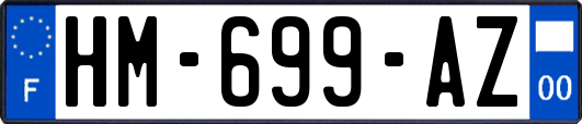 HM-699-AZ