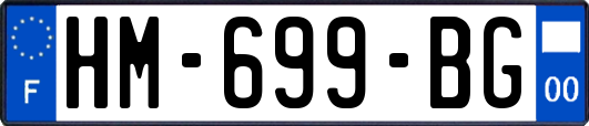 HM-699-BG