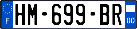 HM-699-BR