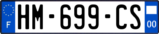 HM-699-CS
