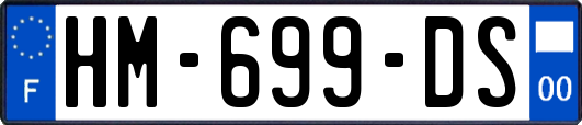 HM-699-DS