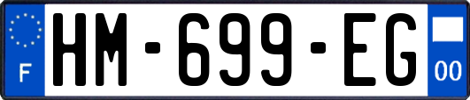 HM-699-EG