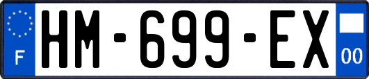 HM-699-EX