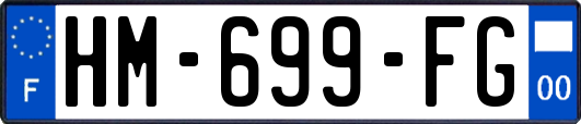 HM-699-FG
