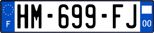 HM-699-FJ