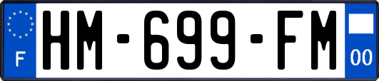 HM-699-FM