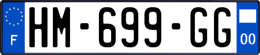 HM-699-GG