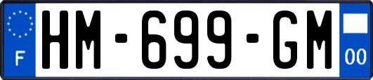 HM-699-GM