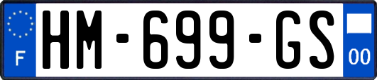 HM-699-GS