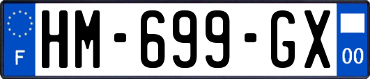 HM-699-GX