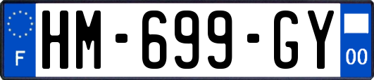 HM-699-GY