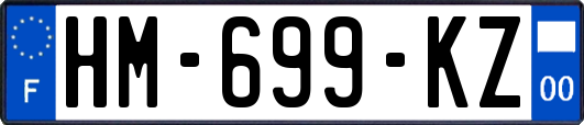 HM-699-KZ