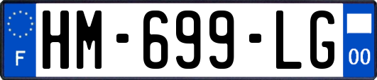 HM-699-LG
