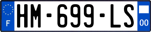 HM-699-LS
