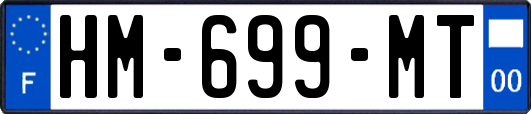 HM-699-MT