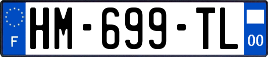 HM-699-TL