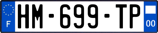 HM-699-TP
