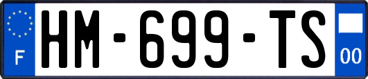 HM-699-TS
