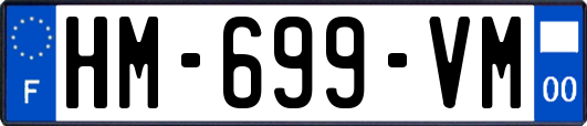 HM-699-VM