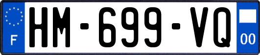 HM-699-VQ