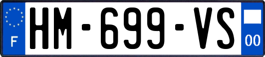 HM-699-VS
