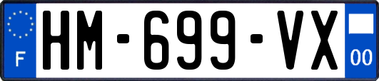HM-699-VX