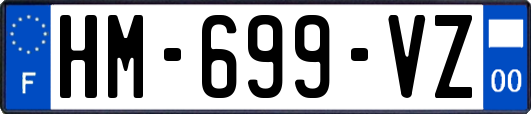 HM-699-VZ