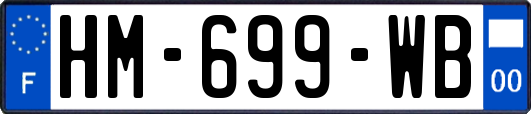 HM-699-WB