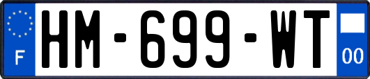 HM-699-WT