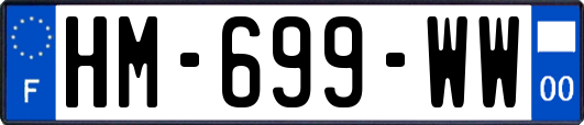 HM-699-WW