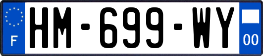 HM-699-WY