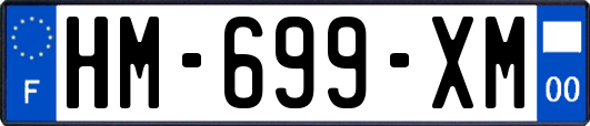 HM-699-XM