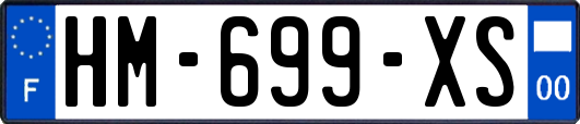 HM-699-XS