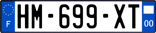 HM-699-XT