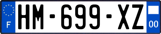 HM-699-XZ